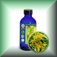 Cassie Sweet (Acacia Farnesiana) Absolute Oil