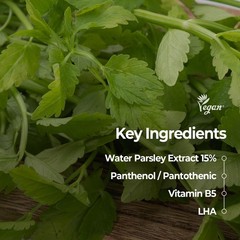 SKINFOOD Pantothenic Water Parsley Clear Toner Pad, Daily Exfoliating Pads fo…
