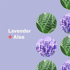 Locion Nutritiva Para Manos Y Cuerpo, 32 Onzas (Paquete De 2), Lavanda Y Alo
