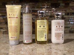 Bath & Body Works WHITE TEA & GINGER Shower Gel, Cream, Lotion, Mist Lot of 4