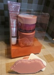4pc Bath & Body Works CHAMPAGNE TOAST Lip Ritual Gift Set (NEW in Box)