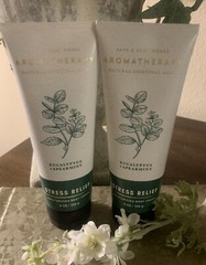 BBW Aromatherapy Eucalyptus & Spearmint Stress Relief Moisturizing Body Cream X2