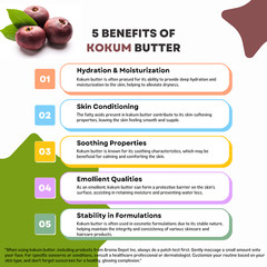 Kokum Butter Premium 100% Pure Raw Cold Pressed Natural 1 oz to 25 lbs
