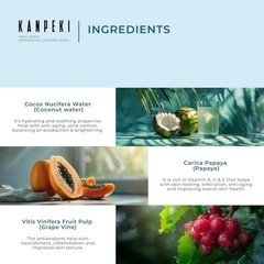 Kanpeki Hydra Element Factor Facial Mist – 150g