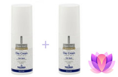 Frezyderm Whitening Day Cream for face, neck and décolleté SPF15 50 ml