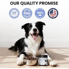 Pawfect Vita Anti-itch Dog AllergyChews – Itch 180 Count Colostrum, Wild Salmon