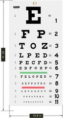 Snellen Eye Chart Eye Charts for Eye Exams 20 Feet 22×11 Inches Low Vision