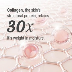 Wilma Schumann Collagen Hydrating Serum – 8oz 240ml Professional Face Serum