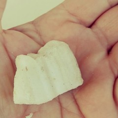 Natural Dead Sea Salt Stone, Jordan, 14 grams, Free Shipping