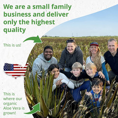 Aloe Vera Gel with Freshly Cut Pure Organic Aloe – Big 12Oz – Texas Grown, Highe