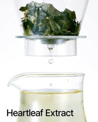 ANUA Heartleaf 77% Soothing Toner 250ml / 8.45 fl. oz