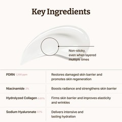 PDRN Rejuvenating Cream – Rejuall PDRN Face Moisturizer – Optimal 1200ppm for…