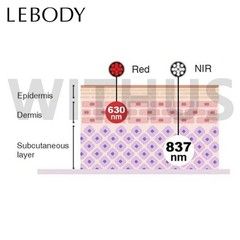 LEBODY OPERA MILUX LED Mask Full Set for Face and Neck Skin Care Device