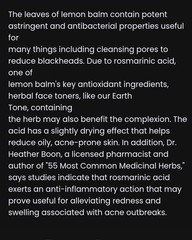 Healing & Hydrating Lemon Balm Salve #NaturalGoodness