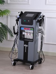 10in1 Hydra Spa Facial Beauty Machine Hydro Dermabrasion Skin Cleaning Face LiaG