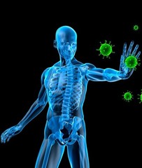 Blue Green Algae – Stem Cell Activator 500mg – Improves Physical Health Caps 3B
