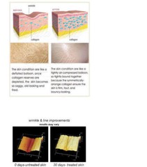 STEM CELLS COPPER PEPTIDE SERUM