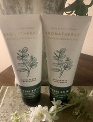 BBW Aromatherapy Eucalyptus & Spearmint Stress Relief Moisturizing Body Cream X2
