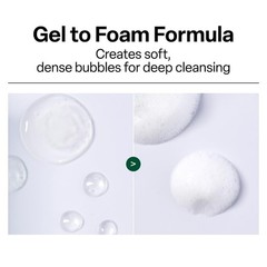 pH Cleansing Gel Foam – Everyday Gentle Face Cleanser for All Skin Types – pH…
