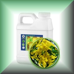 Cassie Sweet (Acacia Farnesiana) Absolute Oil