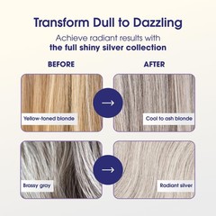 One &lsquo;n Only Shiny Silver Ultra Shine Spray – Purple Hair 4 Fl Oz (Pack of 1)