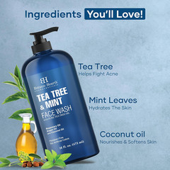 Botanic Hearth Tea Tree Face Wash with Mint – Acne Fighting, Premium, Hydrating
