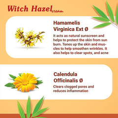 Homeopathic Skincare Witch Hazel cream for Wrinkles & Spots 20 gm Pack of 3