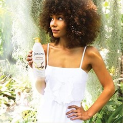 Jergens Shea Butter Deep Conditioning Skin Moisturizer Pack of 3 5.6 Fl Oz