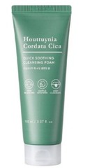 Tonymoly Houttuynia cordata cica quick calming cleansing foam 150ml moisture