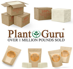 Raw Mango Butter 100% Pure Organic Natural Unrefined For Skin Body Hair Bulk