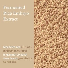I&rsquo;m from Rice Serum, Korean Fermented Embryo Extract Boosts Collagen, 30ml