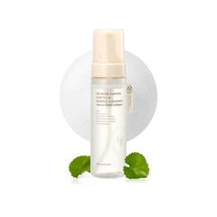 HEVEBLUE Salmon Caring Centella Bubble Cleanser – NEW
