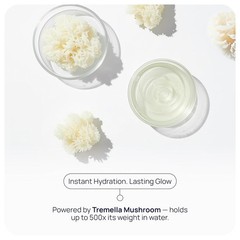 Cellular Hydration Serum Hyaluronic Acid Alternative Face Skin Serum