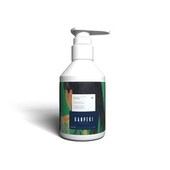 Kanpeki Kerasyl Structure Repair Shampoo – 300gm