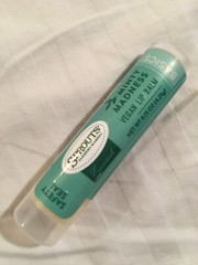SPROUTS Minty Madness Vegan Lip Balm, Fair trade certified 0.15 Oz Lip Treatment