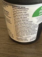 Lush Kitchen Ginger Body Lotion 7.9 oz – NEW