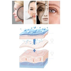 3-in-1 No-Needle Mesotherapy RF Skin Rejuvenation Facial Beauty Machine Salon