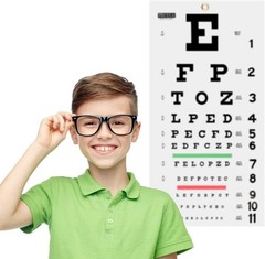 Snellen Eye Chart Eye Charts for Eye Exams 20 Feet 22×11 Inches Low Vision