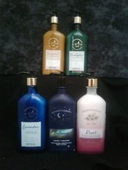 New – Bath and Body Works Aromatherapy Moisturizing Body Lotions 6.5 fl oz