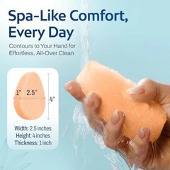 [10 Pack] Gentle Exfoliating Facial Sponge for Face – Daily Cleansing Face Scrub