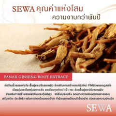 SEWA Insam Essence Serum Skin Flower Extract Anti-aging Wrinkle Brightening X 1