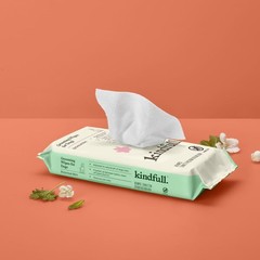 Botanical Mint Dog Grooming Wipes – 60ct – Kindfull: Hypoallergenic, All Ages