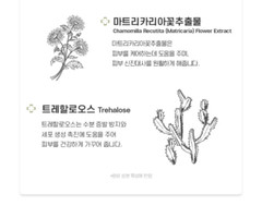 USOLAB Bio Intensive Foaming K Cleanser 120ml / USOLAB Cleanser