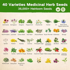 Herb Seed Kit: 36,000+ Non-GMO Heirloom Seeds for Medicinal Gardening