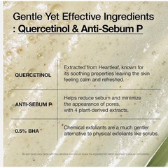 Anua Heartleaf Quercetinol Pore Deep Cleansing Foam, Face wash for Pore Refining