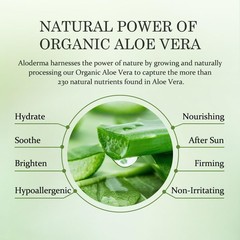 Aloderma 99% Organic Aloe Vera Gel Made within 12 Hours of Harvest Face & Body