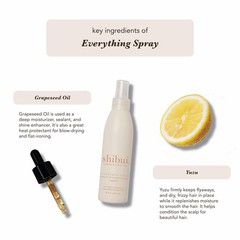 Shibui Everything Spray, Color Protecting Leave-in Treatment, Detangles &…