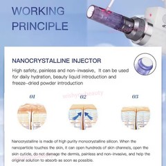 Facial Mesotherapy Machine Skin Care Injector 2 in 1 Water Injection Aqua Pen