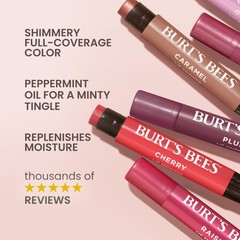 Burt&rsquo;s Bees Shimmer Lip Tint Set, Mothers Day 4 Count (Pack of 1), Champagne