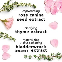 Hydrating Rosewater Face Mist with Aloe – Mario Badescu, 4 Fl Oz for All Skin